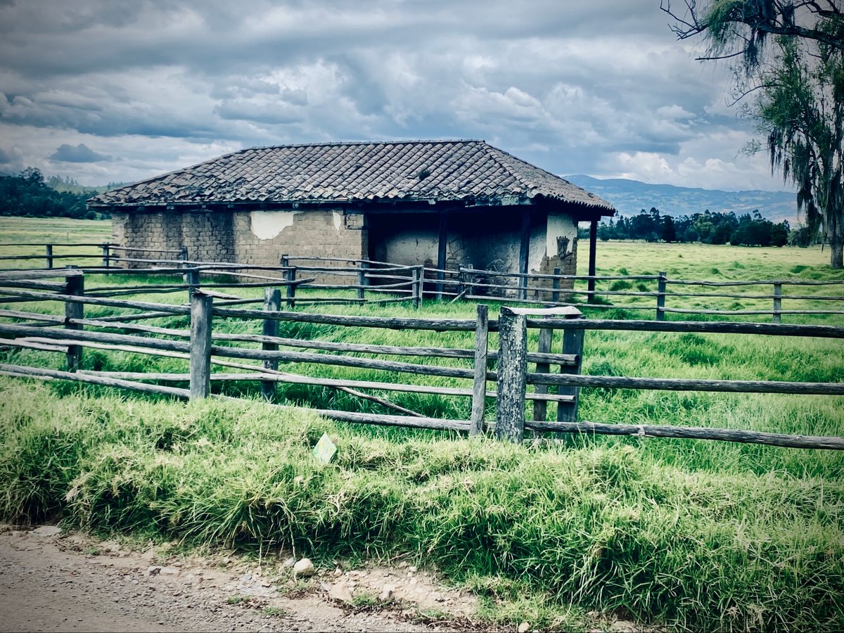 4 Jan 2025 - 13:08, Colombia