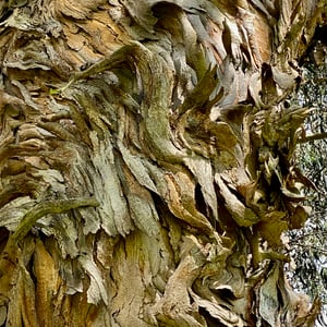 4 Jan 2025 - 13:08 by Kelly