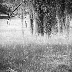 4 Jan 2025 - 13:08 by Kelly