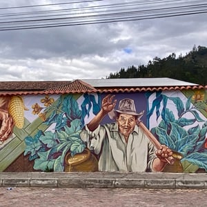 5 Jan 2025 - 10:53 by Kelly