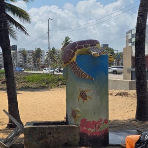 Praia Do Bessa by David