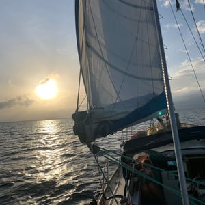 Goodbye Bocas! by Adam