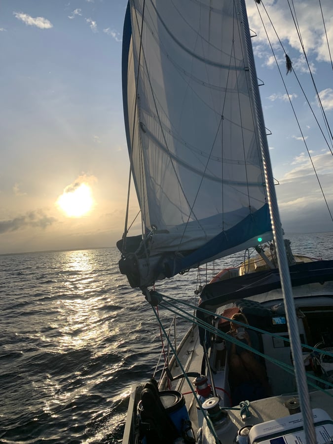 ¡Adiós Bocas!