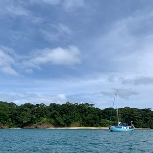 Bocas - San Blas: Coat of Arms by Adam