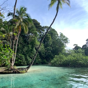 Bocas - San Blas: Coat of Arms by Adam