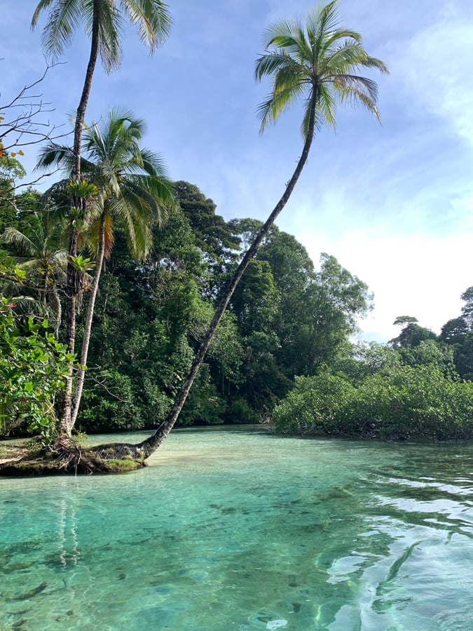 Bocas - San Blas: Escudo