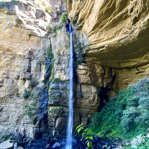 13 Jan 2025 - 20:14 by Kelly