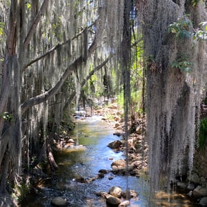 15 Jan 2025 - 16:03 by Kelly