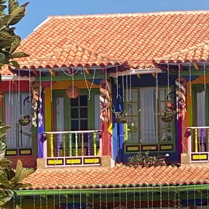 15 Jan 2025 - 16:03 by Kelly