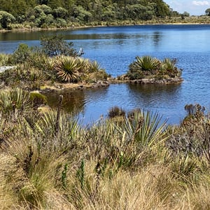 In The Paran&aacute; At Lago verde by Kelly
