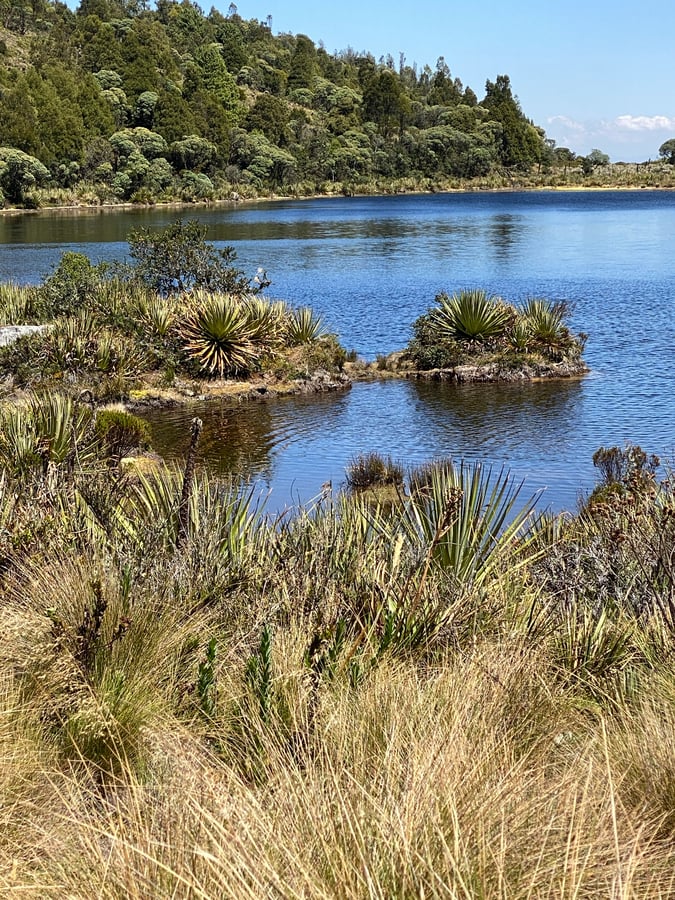 In The Paraná At Lago verde, Colombia
