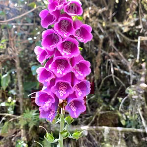 In The Paran&aacute; At Lago verde by Kelly