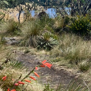 Don&rsquo;t know where by Kelly