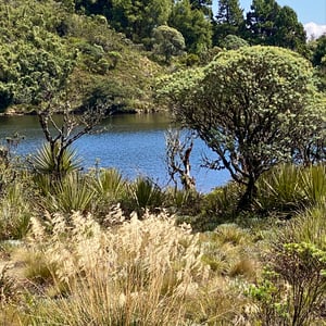 Don&rsquo;t know where by Kelly