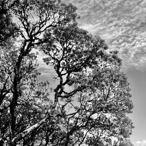 Don&rsquo;t know where by Kelly