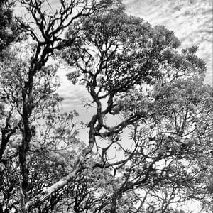 Don&rsquo;t know where by Kelly