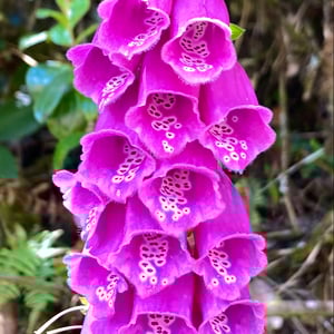 Don&rsquo;t know where by Kelly