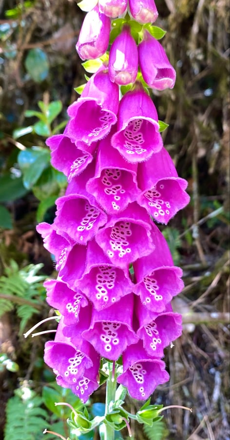 No sé dónde, Colombia