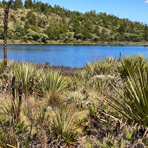 In The Paran&aacute; At Lago verde by Kelly