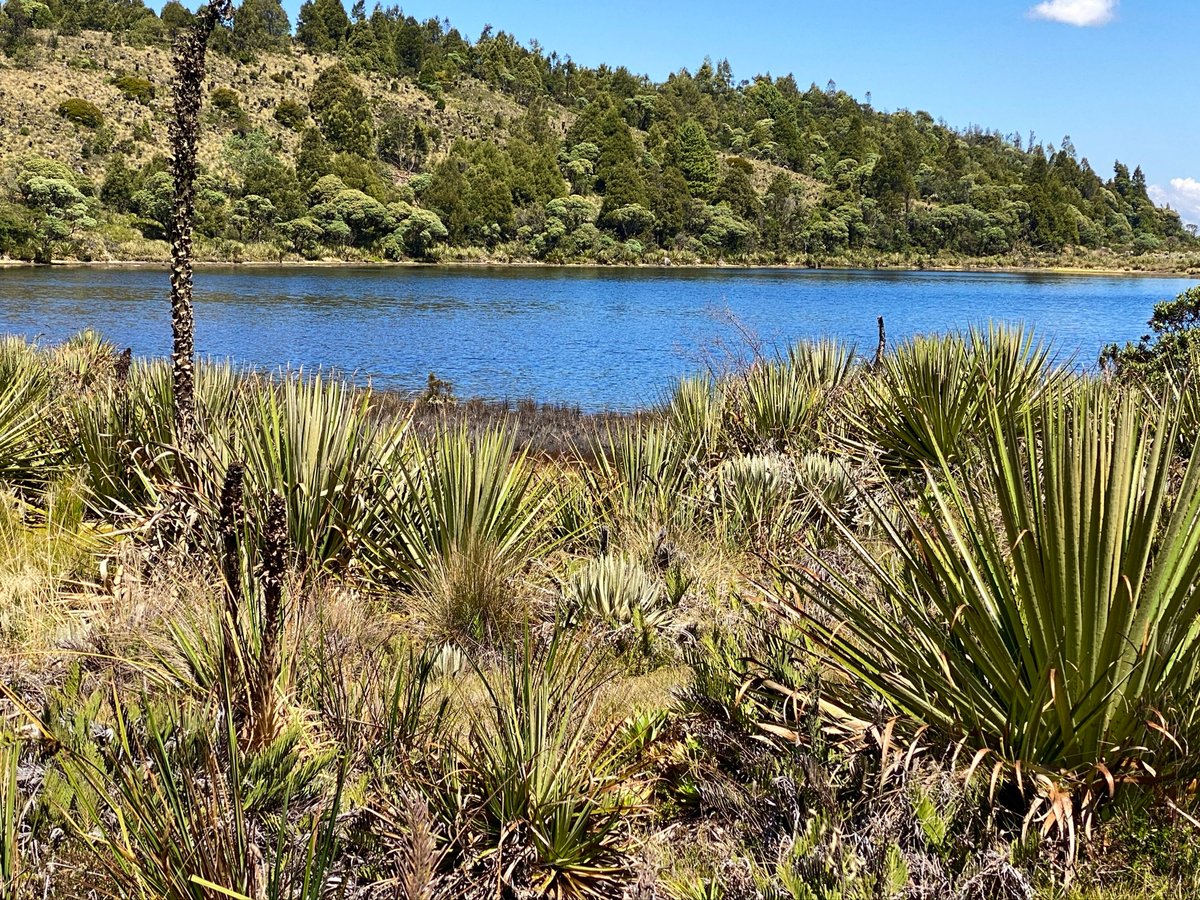 En el Paraná en el Lago Verde, Colombia