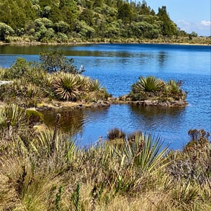 In The Paran&aacute; At Lago verde by Kelly