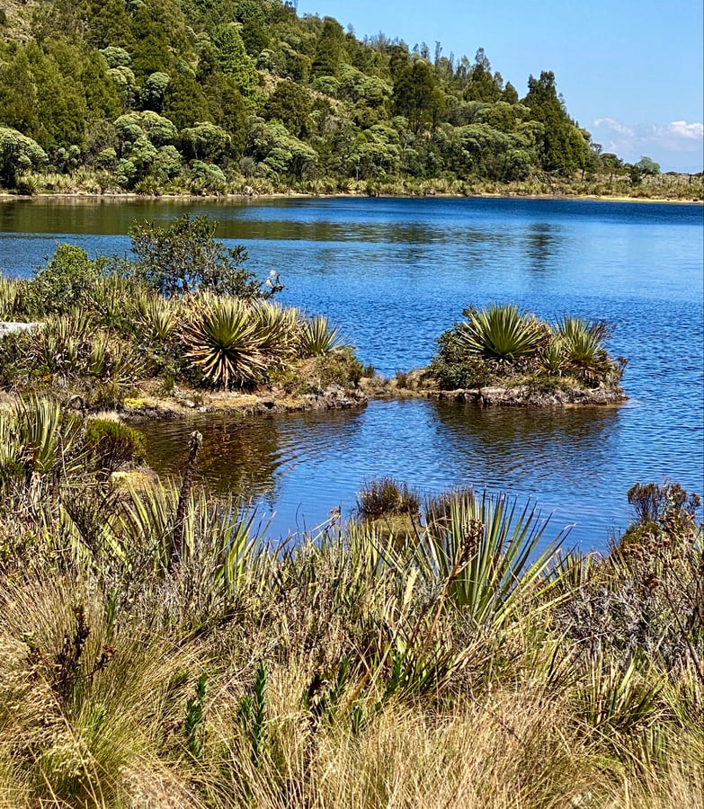 En el Paraná en el Lago Verde, Colombia