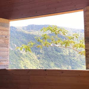 In Flori&aacute;n. A 4 Hour Dirt Road by Kelly