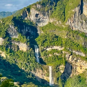 22 Jan 2025 - 19:11 by Kelly