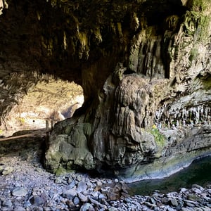 22 Jan 2025 - 19:11 by Kelly