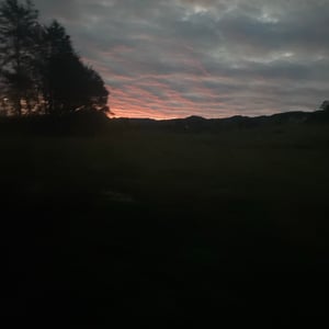 4 AM bus From Florian by Kelly