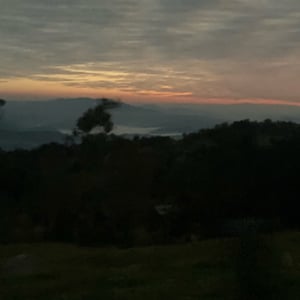 4 AM bus From Florian by Kelly