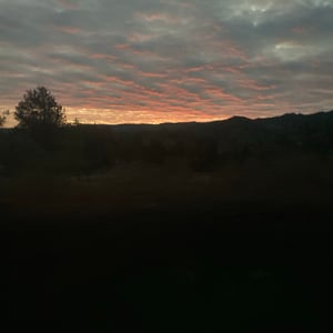 4 AM bus From Florian by Kelly