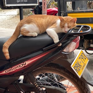 In The Village Of Doradal, Colombia by Kelly