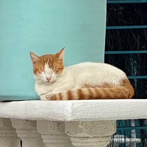 In The Village Of Doradal, Colombia by Kelly