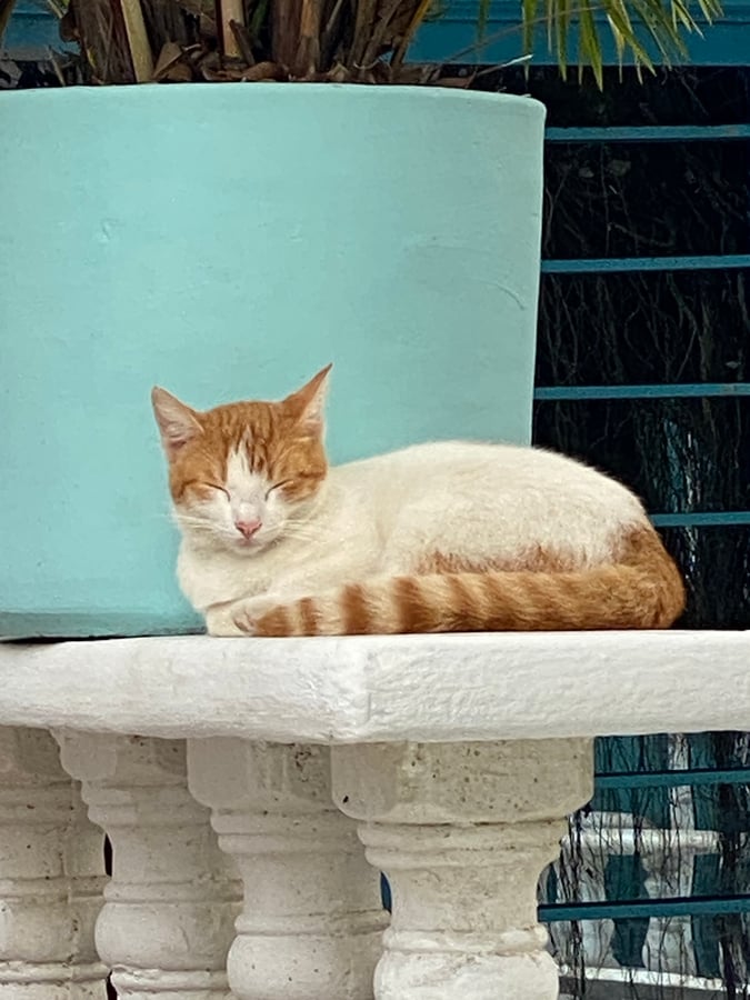 En el pueblo de Doradal, Colombia, Colombia