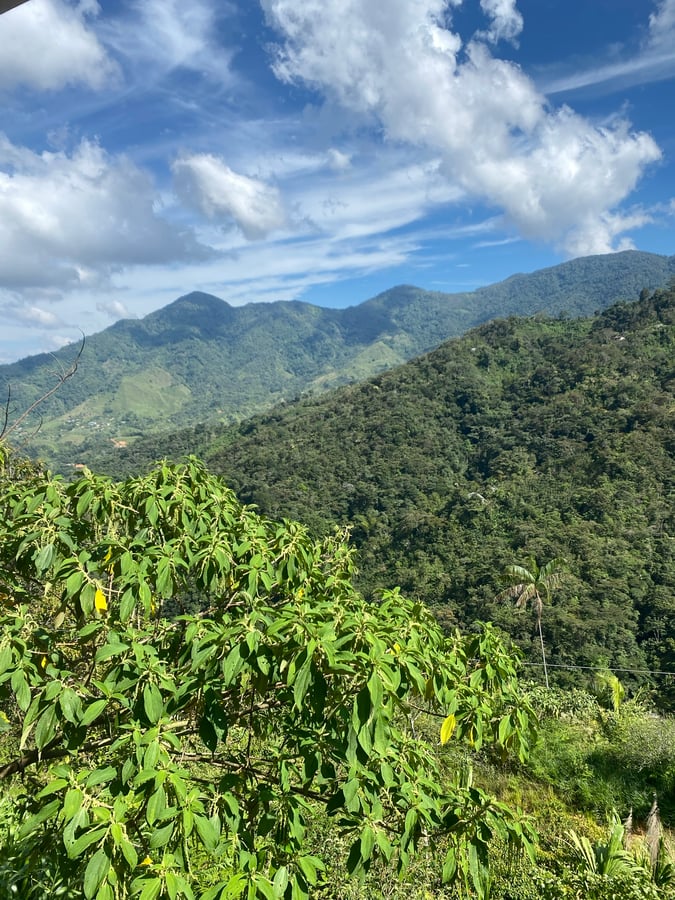 San Carlos, Antioquia, Colombia, Colombia