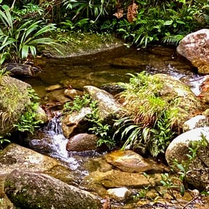 San Carlos, Antioquia, Colombia by Kelly