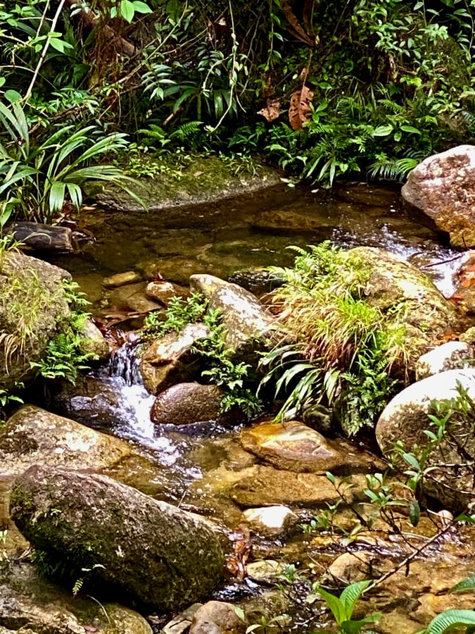 San Carlos , Antioquia Colombia, Colombia