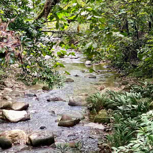 San Carlos, Antioquia, Colombia by Kelly