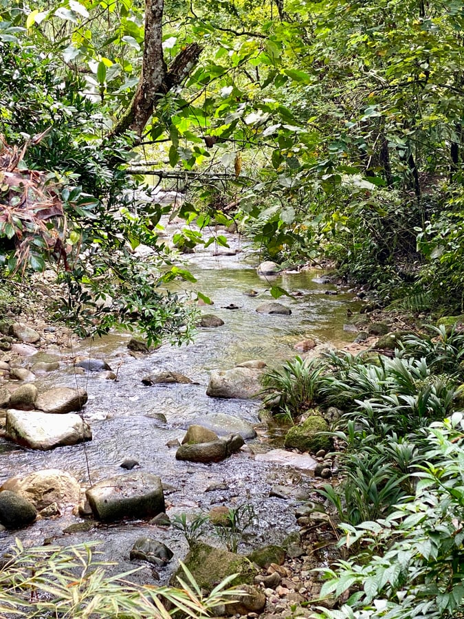 San Carlos , Antioquia Colombia, Colombia