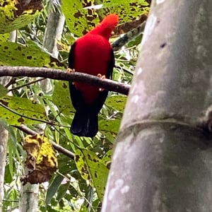 Leaving Beautiful Jardin Area by Kelly