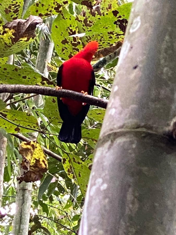 Leaving Beautiful Jardin Area, Colombia