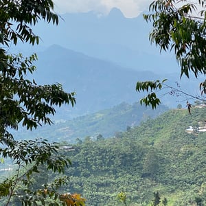 Leaving Beautiful Jardin Area by Kelly