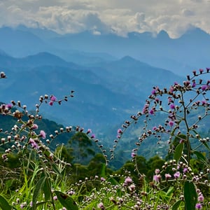 Leaving Beautiful Jardin Area by Kelly