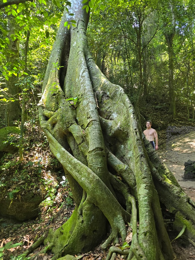 Wanderung zum Sugarloaf-Berg, Brasilien