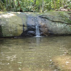 Parque Lage -Botanical Garden by David