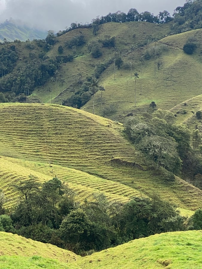 San Feliz Near Salamina, Colombia
