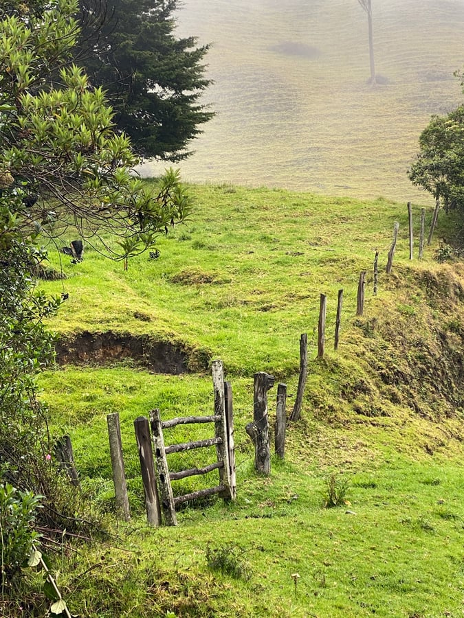 San Feliz. Estoy enamorado., Colombia