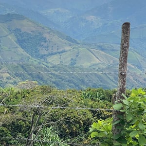 Is Ride Salamina To Medellin. by Kelly