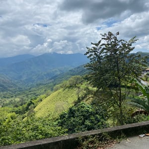 Is Ride Salamina To Medellin. by Kelly